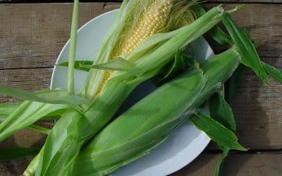 Dig This: A Guide to Growing Sweetcorn