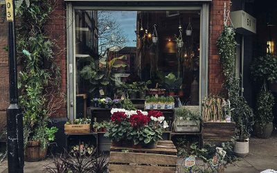 The Manchester Flower Festival, From Friday 23rd to Monday 26th May 2025