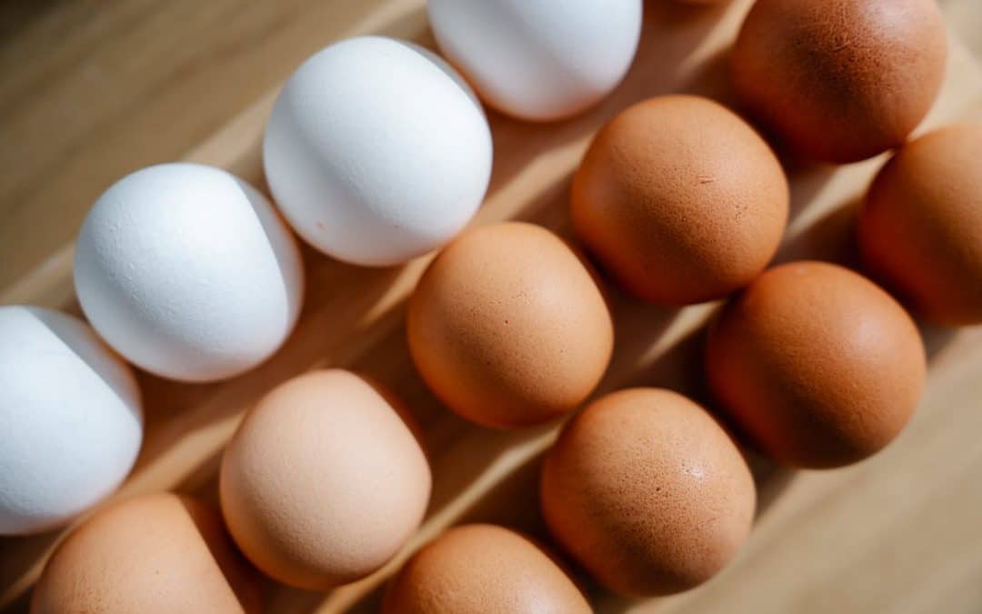 Why Is Living Sustainably Still Seen as a Privilege—And How Do We Make It Accessible to All?